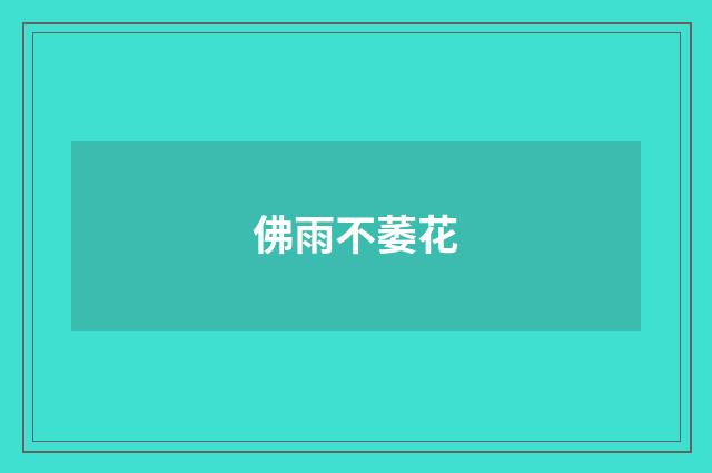 佛雨不萎花