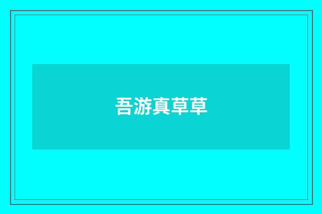 吾游真草草