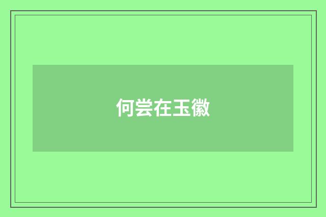 何尝在玉徽