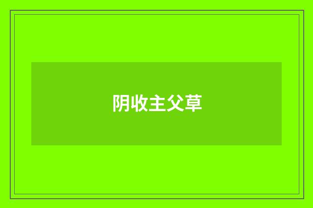 阴收主父草