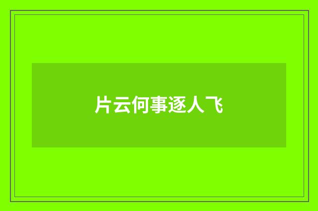 片云何事逐人飞