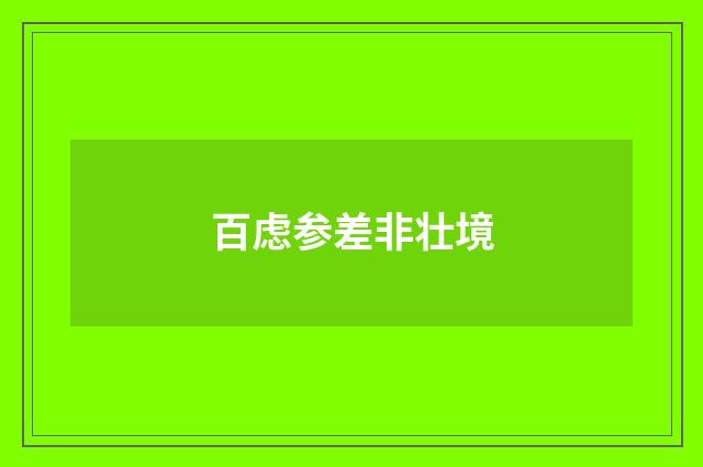 百虑参差非壮境