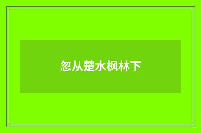 忽从楚水枫林下