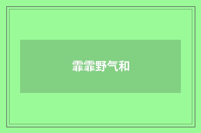 霏霏野气和