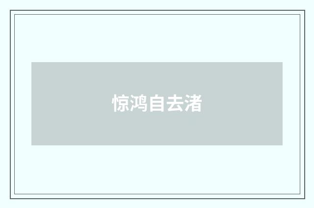 惊鸿自去渚