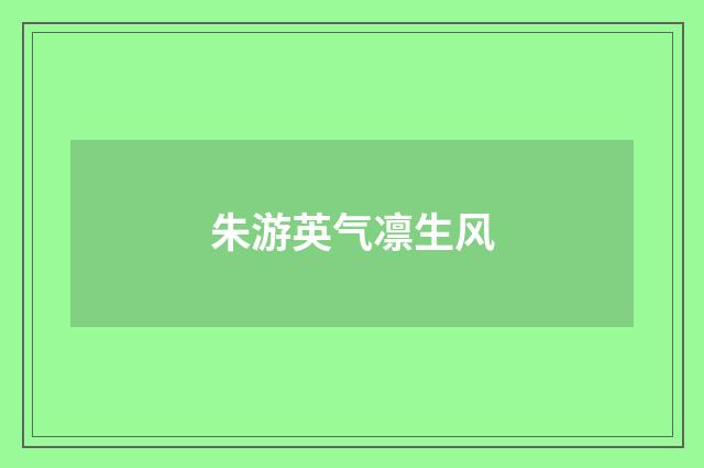朱游英气凛生风
