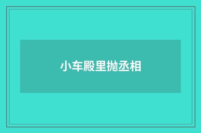 小车殿里抛丞相