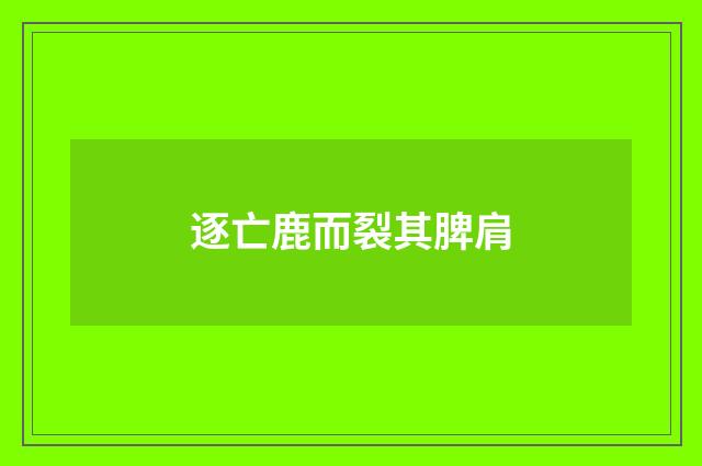 逐亡鹿而裂其脾肩