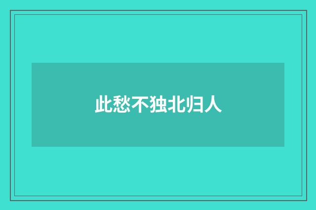 此愁不独北归人