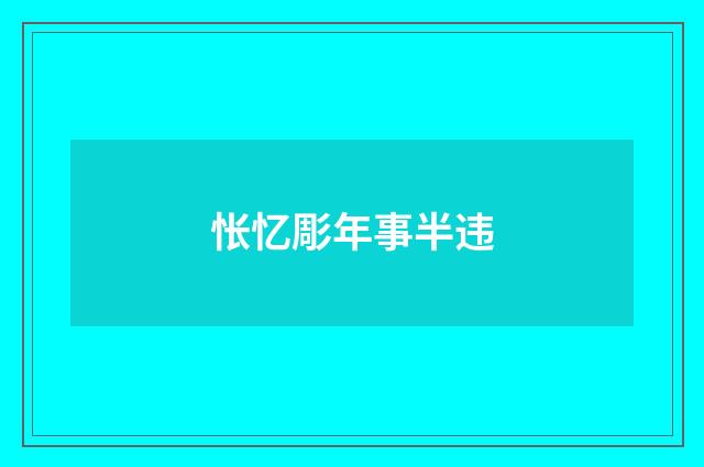怅忆彫年事半违