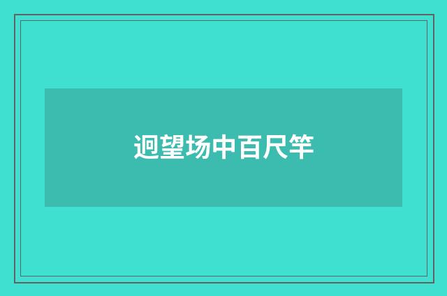 迥望场中百尺竿