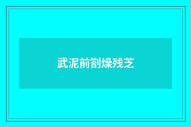 武泥前劄燥残芝