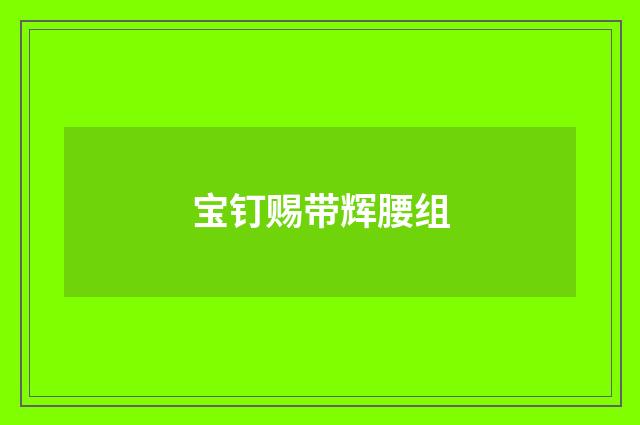 宝钉赐带辉腰组