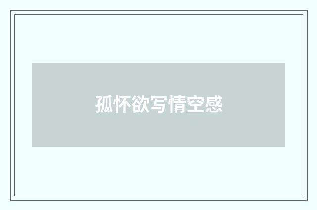 孤怀欲写情空感