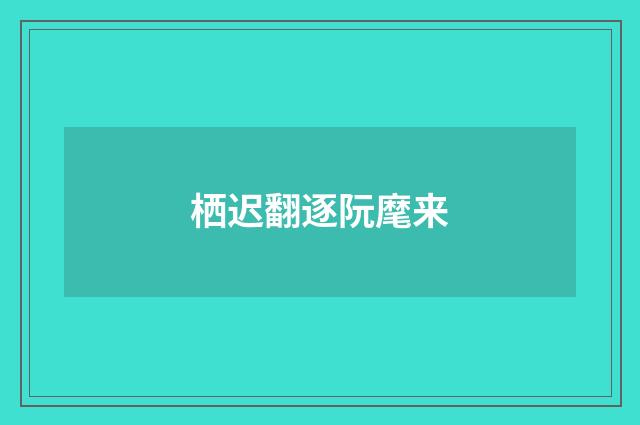 栖迟翻逐阮麾来