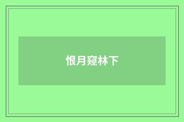 恨月窥林下