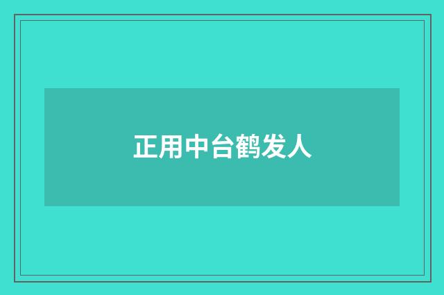正用中台鹤发人