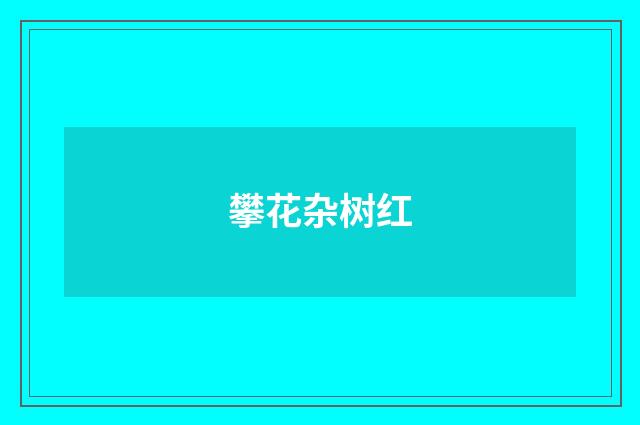攀花杂树红
