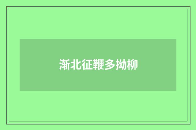 渐北征鞭多拗柳