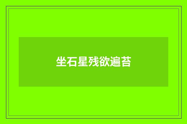 坐石星残欲遍苔