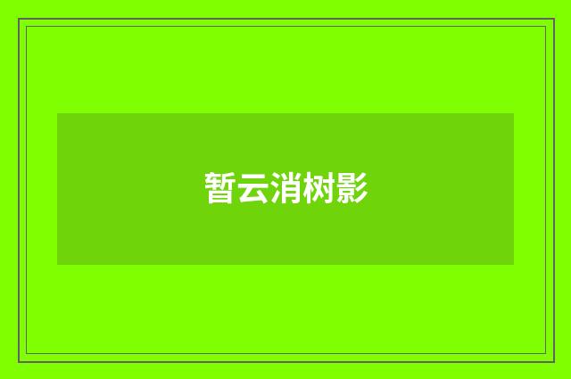 暂云消树影