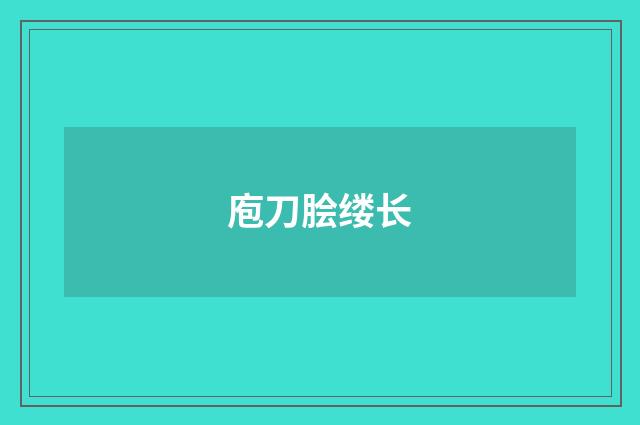 庖刀脍缕长