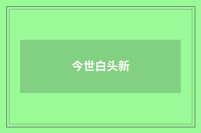 今世白头新