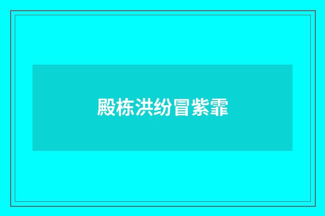 殿栋洪纷冒紫霏
