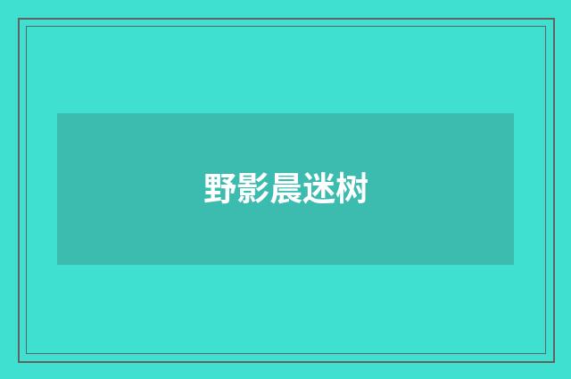 野影晨迷树