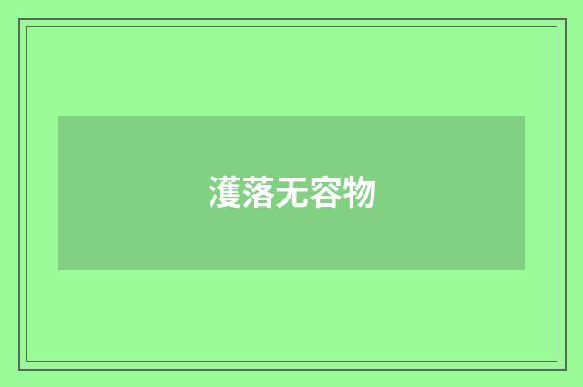 濩落无容物