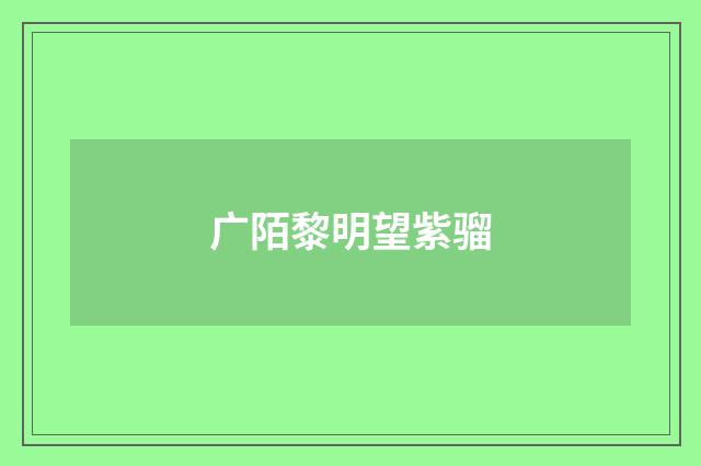 广陌黎明望紫骝