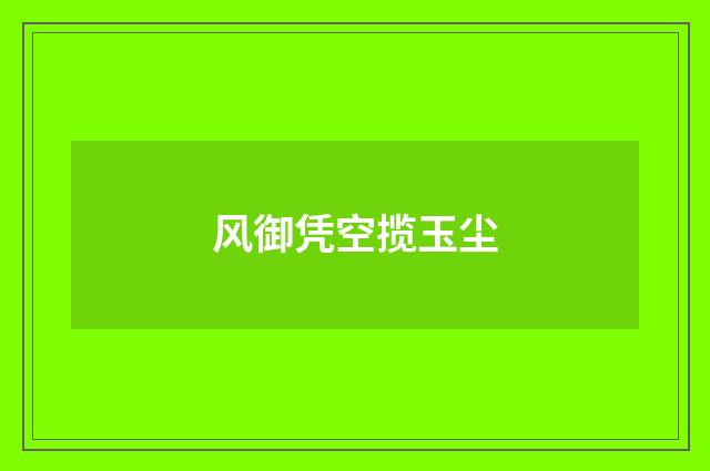 风御凭空揽玉尘