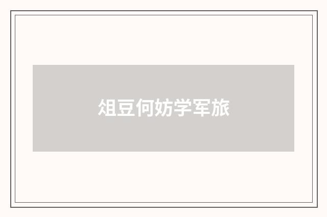 俎豆何妨学军旅