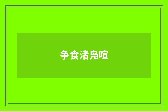 争食渚凫喧