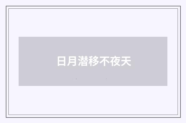 日月潜移不夜天