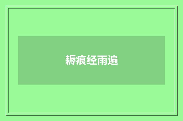 耨痕经雨遍