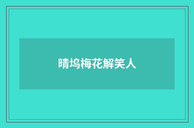 晴坞梅花解笑人