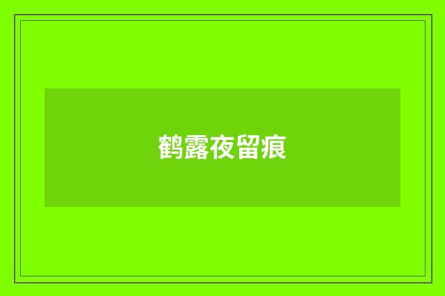 鹤露夜留痕