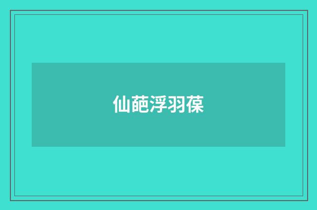 仙葩浮羽葆