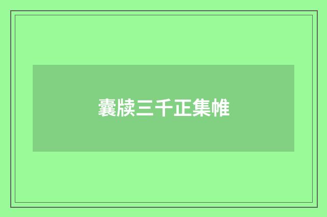 囊牍三千正集帷