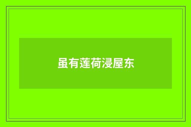 虽有莲荷浸屋东