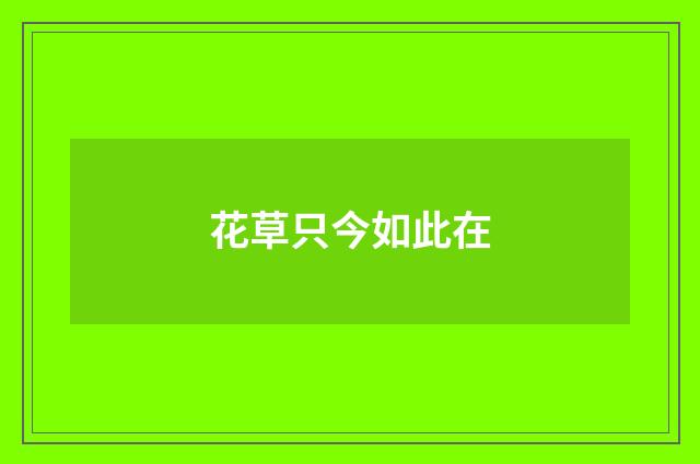 花草只今如此在