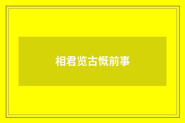 相君览古慨前事
