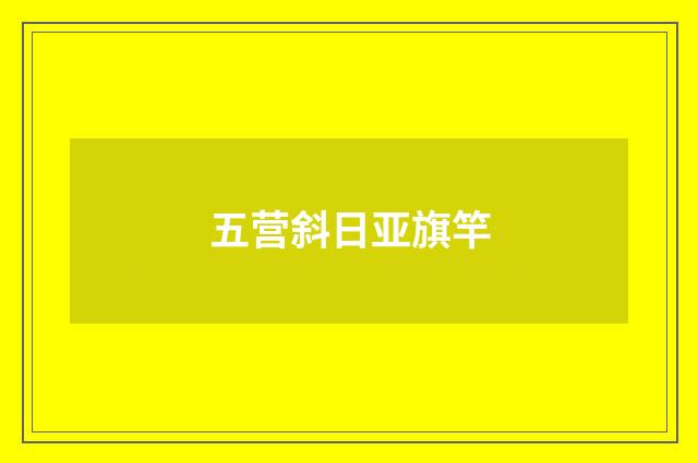 五营斜日亚旗竿
