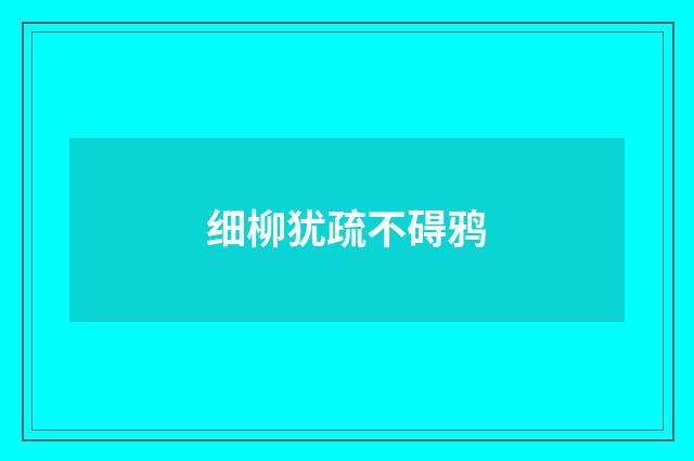 细柳犹疏不碍鸦