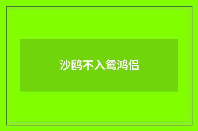 沙鸥不入鸳鸿侣