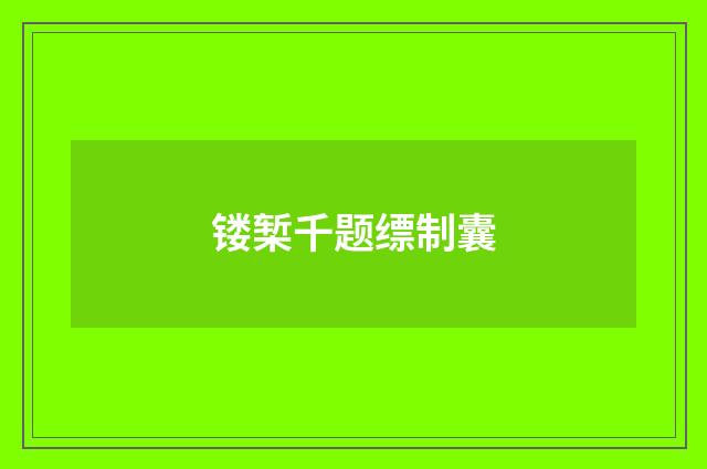 镂椠千题缥制囊
