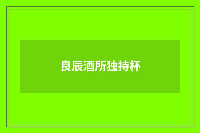 良辰酒所独持杯