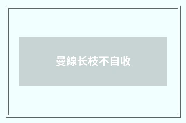 曼線长枝不自收