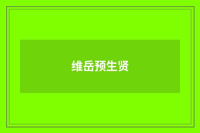 维岳预生贤